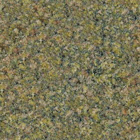 Textures   -   ARCHITECTURE   -   MARBLE SLABS   -   Granite  - Slab granite green rose marble texture seamless 02198 (seamless)