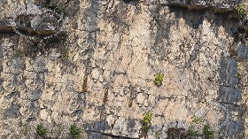 Textures   -   NATURE ELEMENTS   -  ROCKS - Rocks with wire mesh texture seamless 17477