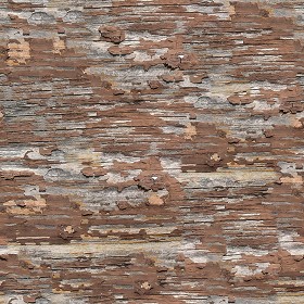 Textures   -   ARCHITECTURE   -   WOOD   -   cracking paint  - Cracking paint wood texture seamless 04186 (seamless)