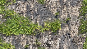 Textures   -   NATURE ELEMENTS   -  ROCKS - Rocks with wire mesh texture seamless 17478