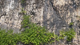 Textures   -   NATURE ELEMENTS   -  ROCKS - Rocks with wire mesh texture 17479