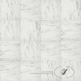 Textures   -   ARCHITECTURE   -   TILES INTERIOR   -   Marble tiles   -   White  - Carrara veined marble floor tile texture seamless 19792 (seamless)