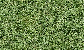 Textures   -   NATURE ELEMENTS   -   VEGETATION   -   Green grass  - Green grass texture seamless 13050 (seamless)