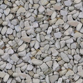 Textures   -   NATURE ELEMENTS   -   GRAVEL &amp; PEBBLES  - Pebbles stone texture seamless 12452 (seamless)