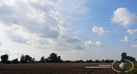 Textures   -   BACKGROUNDS &amp; LANDSCAPES   -  SKY &amp; CLOUDS - Cloudy sky in the early morning with countryside background 18553