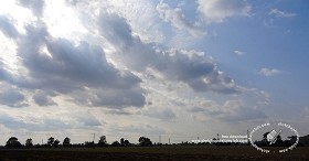 Textures   -   BACKGROUNDS &amp; LANDSCAPES   -  SKY &amp; CLOUDS - Sky before the storm with countryside background 18555