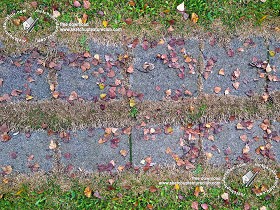 Textures   -   ARCHITECTURE   -   PAVING OUTDOOR   -  Parks Paving - Stone park paving texture seamless 19289