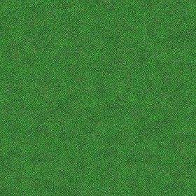 Textures   -   NATURE ELEMENTS   -   VEGETATION   -  Green grass - Green grass texture seamless 13054