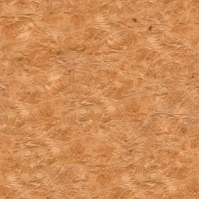 Textures   -   ARCHITECTURE   -   WOOD   -   Fine wood   -  Medium wood - Maple burl medium color texture seamless 04486