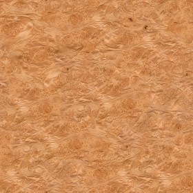 Textures   -   ARCHITECTURE   -   WOOD   -   Fine wood   -   Medium wood  - Maple burl medium color texture seamless 04486 (seamless)