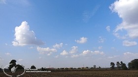 Textures   -   BACKGROUNDS &amp; LANDSCAPES   -  SKY &amp; CLOUDS - Cloudy sky in the morning with countryside background 18557