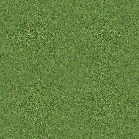 Textures   -   NATURE ELEMENTS   -   VEGETATION   -   Green grass  - Green grass texture seamless 13055 (seamless)