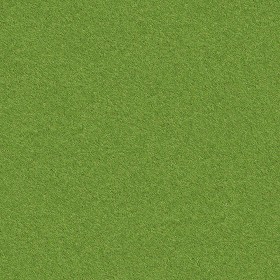 Textures   -   NATURE ELEMENTS   -   VEGETATION   -  Green grass - Green grass texture seamless 13056