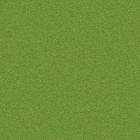 Textures   -   NATURE ELEMENTS   -   VEGETATION   -   Green grass  - Green grass texture seamless 13056 (seamless)