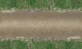 Textures   -   ARCHITECTURE   -   ROADS   -  Roads - Dirt road texture seamless 07617