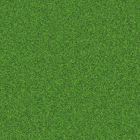 Textures   -   NATURE ELEMENTS   -   VEGETATION   -   Green grass  - Green grass texture seamless 13057 (seamless)