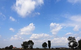 Textures   -   BACKGROUNDS &amp; LANDSCAPES   -   SKY &amp; CLOUDS  - Cloudy sky in the morning with countryside background 18560