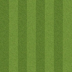 Textures   -   NATURE ELEMENTS   -   VEGETATION   -   Green grass  - Football green grass texture seamless 13062 (seamless)