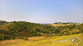 Textures   -   BACKGROUNDS &amp; LANDSCAPES   -   NATURE   -   Countrysides &amp; Hills  - Hills landscape texture 18019