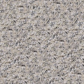 Textures   -   ARCHITECTURE   -   MARBLE SLABS   -   Granite  - Slab white Sardinia granite texture seamless 02215 (seamless)