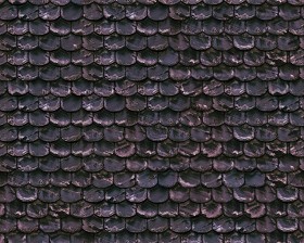Textures   -   ARCHITECTURE   -   ROOFINGS   -  Slate roofs - Slate roofing texture seamless 03994