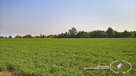 Textures   -   BACKGROUNDS &amp; LANDSCAPES   -   NATURE   -   Countrysides &amp; Hills  - Countrysides green landscape texture 18023