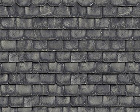 Textures   -   ARCHITECTURE   -   ROOFINGS   -   Slate roofs  - Dirty slate roofing texture seamless 03995 (seamless)