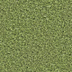 Textures   -   NATURE ELEMENTS   -   VEGETATION   -   Green grass  - Artificial green grass texture seamless 17316 (seamless)