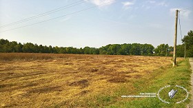 Textures   -   BACKGROUNDS &amp; LANDSCAPES   -   NATURE   -  Countrysides &amp; Hills - Countrysides wheat field landscape 18024