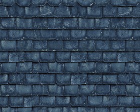 Textures   -   ARCHITECTURE   -   ROOFINGS   -  Slate roofs - Dirty slate roofing texture seamless 03996