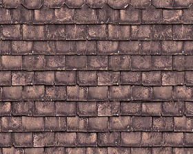 Textures   -   ARCHITECTURE   -   ROOFINGS   -  Slate roofs - Dirty slate roofing texture seamless 03997