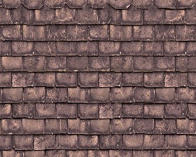 Textures   -   ARCHITECTURE   -   ROOFINGS   -   Slate roofs  - Dirty slate roofing texture seamless 03997 (seamless)