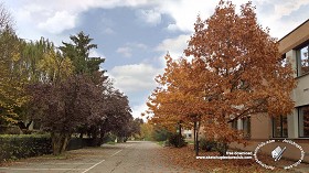 Textures   -   BACKGROUNDS &amp; LANDSCAPES   -   CITY &amp; TOWNS  - Urban area with autumn trees landscape 19268
