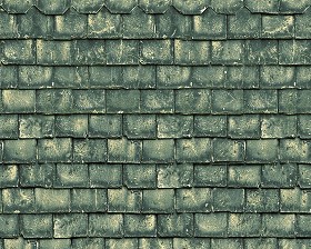 Textures   -   ARCHITECTURE   -   ROOFINGS   -  Slate roofs - Dirty slate roofing texture seamless 03998