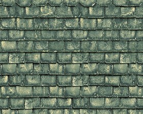 Textures   -   ARCHITECTURE   -   ROOFINGS   -  Slate roofs - Dirty slate roofing texture seamless 03998