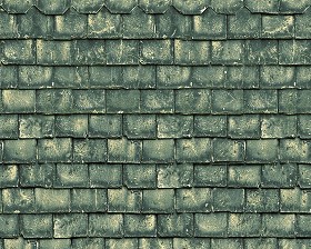 Textures   -   ARCHITECTURE   -   ROOFINGS   -   Slate roofs  - Dirty slate roofing texture seamless 03998 (seamless)