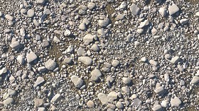 Textures   -   NATURE ELEMENTS   -  GRAVEL &amp; PEBBLES - Pebbles stone po river with fossil shells texture seamless 17318