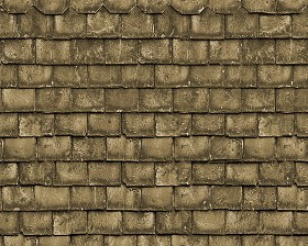 Textures   -   ARCHITECTURE   -   ROOFINGS   -  Slate roofs - Dirty slate roofing texture seamless 03999