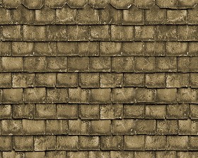 Textures   -   ARCHITECTURE   -   ROOFINGS   -   Slate roofs  - Dirty slate roofing texture seamless 03999 (seamless)