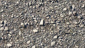 Textures   -   NATURE ELEMENTS   -  GRAVEL &amp; PEBBLES - Pebbles stone po river with fossil shells texture seamless 17320