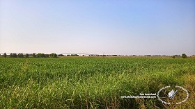 Textures   -   BACKGROUNDS &amp; LANDSCAPES   -   NATURE   -  Countrysides &amp; Hills - Countrysides green landscape 18029