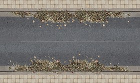 Textures   -   ARCHITECTURE   -   ROADS   -   Roads  - Dirt road texture seamless 07631 (seamless)