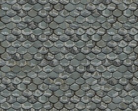 Textures   -   ARCHITECTURE   -   ROOFINGS   -  Slate roofs - Dirty slate roofing texture seamless 04001