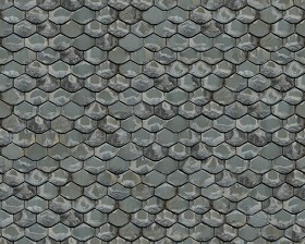 Textures   -   ARCHITECTURE   -   ROOFINGS   -   Slate roofs  - Dirty slate roofing texture seamless 04001 (seamless)