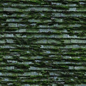Textures   -   ARCHITECTURE   -   ROOFINGS   -  Shingles wood - Wood shingle roof with moss texture seamless 03890