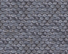 Textures   -   ARCHITECTURE   -   ROOFINGS   -   Slate roofs  - Dirty slate roofing texture seamless 04002 (seamless)