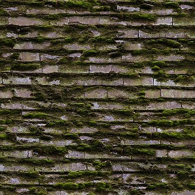 Textures   -   ARCHITECTURE   -   ROOFINGS   -  Shingles wood - Wood shingle roof with moss texture seamless 03891