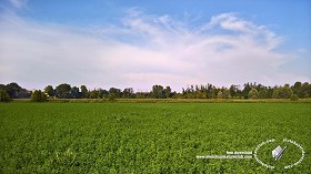 Textures   -   BACKGROUNDS &amp; LANDSCAPES   -   NATURE   -  Countrysides &amp; Hills - Countryside green landscape texture 18032