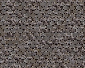 Textures   -   ARCHITECTURE   -   ROOFINGS   -   Slate roofs  - Dirty slate roofing texture seamless 04004 (seamless)