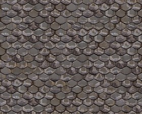 Textures   -   ARCHITECTURE   -   ROOFINGS   -  Slate roofs - Dirty slate roofing texture seamless 04004